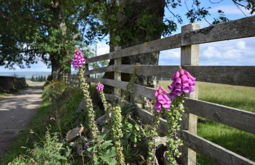 4 Bed in Hexham oc-78159 - Photo 29