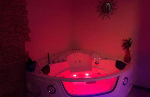 Aux portes de la Camargue studio balneo sauna et piscine - Foto 21