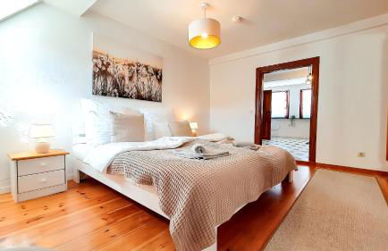 ROMANTIC-Apartment - Altbauflair mit Dachterrasse & Waldblick, Maisonette, 80m2 - Foto 34