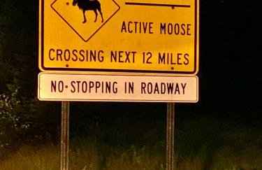 Camp Deloia - Foto 23