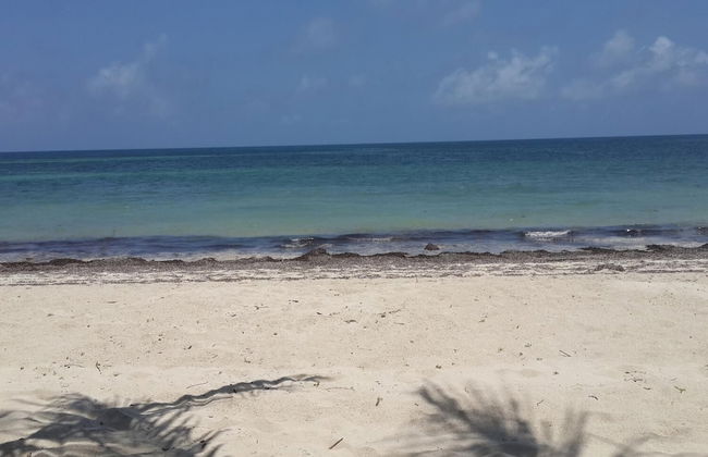 Shamba La Salama - Foto 18