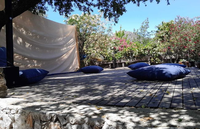 Palmira Selimiye - Foto 12