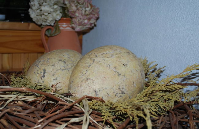 Apartment in Dargun With Pool and Terrace - Foto 14