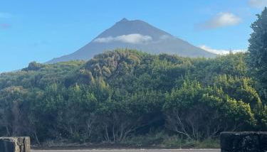 Dream By The Sea - Photo 3