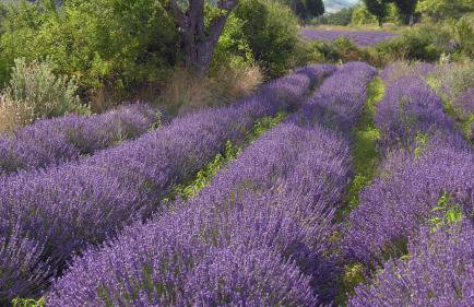 Gîte du Lapin Voyageur - Foto 27