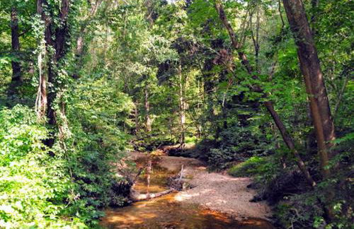 Private King Suite Near DC & Joint Base Andrews - Foto 17