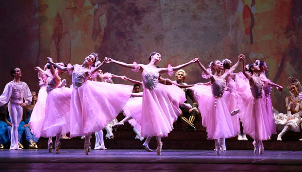 Joinville Museums and Theatres Tour - Foto 2