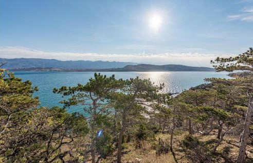 Nice Apartment In Novalja With Kitchen - Photo 7