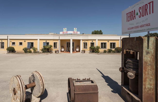 Soap Workshop & Olive Oil Tasting - Foto 8