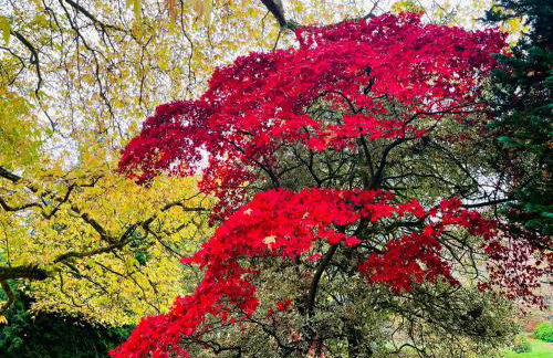 Alexander House - Foto 56