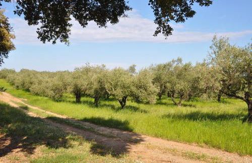 Studio en bord de mer sur Costa Serena N54 - Foto 36