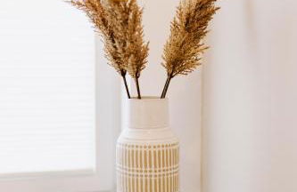 Küsten Suite de Diek - Suite 3 seitliche Deichlage, Terrasse, 53qm - Foto 17