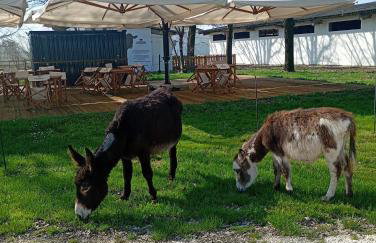Agriturismo Carne Sicura - Foto 10