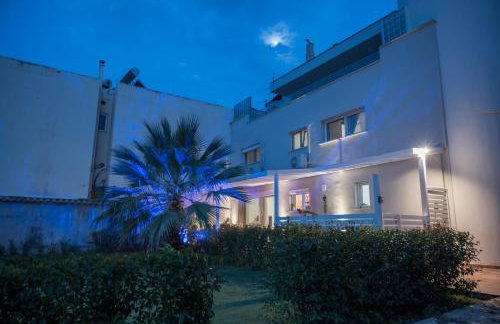 Coconut Blue - Photo 2