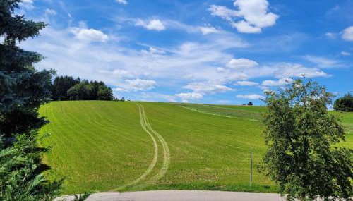 Haus Panoramablick - Fewo Storchennest, Höchenschwand - Foto 3