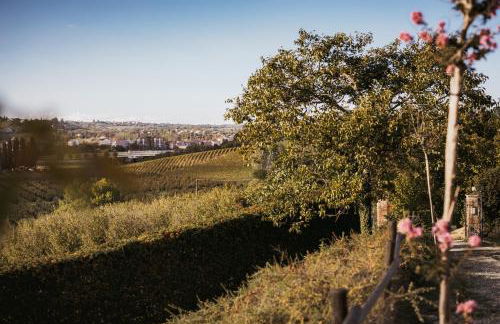 Villa Gramolina Nizza - Foto 11