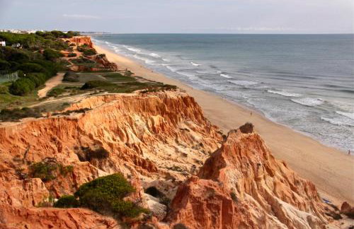 Dans les nuages - Photo 18