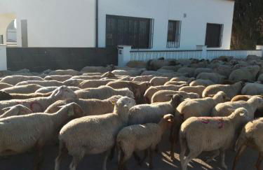 Casa rural "La Pageseta" - Foto 7