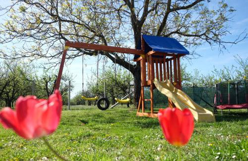 Šljivik stari - Photo 35