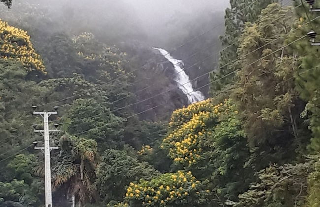 Mount view family rest & cottage - Photo 47