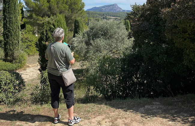 5 heures Excursion à terre Aix En Provence et à la campagne - Photo 11
