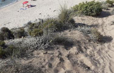 agriturismo gli olivastri, appartamento la rosa dei venti con piscina e solarium , vista mare ,climatizzatore ,wifi - Foto 25