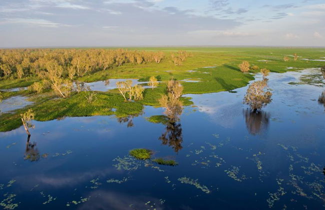 Helicopter Tour over Kakadu National Park and Yellow Water Cruise with Lunch with Transfer - Foto 2