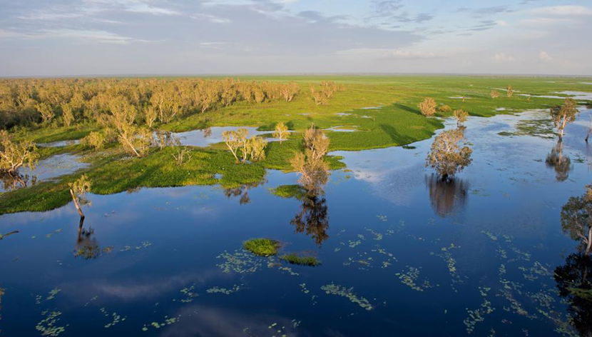 Helicopter Tour over Kakadu National Park and Yellow Water Cruise with Lunch with Transfer - Foto 2