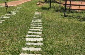 Sítio Lourenço Marques Serra do Cipó MG - Foto 7