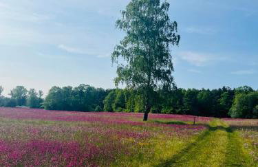 Przystanek Wieś - Foto 48