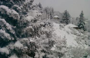 Elatos cozy Studio - Foto 33