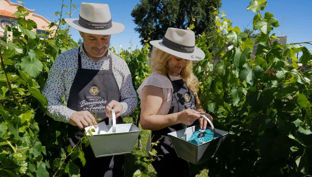 Hinojosa Winery Tour - Foto 4