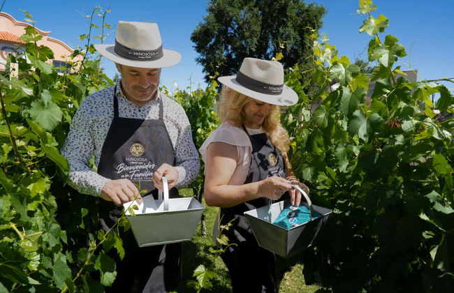 Hinojosa Winery Tour - Foto 4