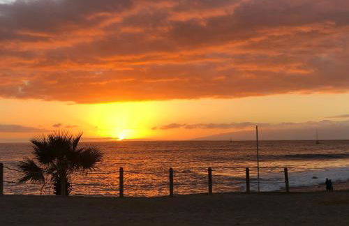 Cosy flat with sea view, pool and terrace in Altamira-complex in Costa Adeje - Playa del Duque - Foto 43