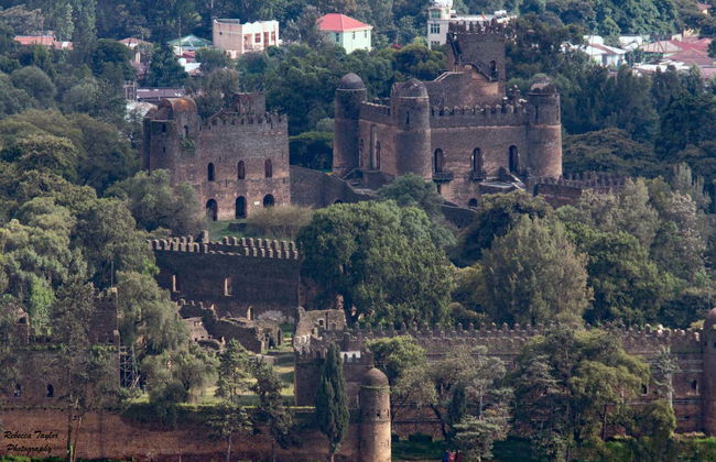 Northern Ethiopia Private 9-Day Tour - Photo 4