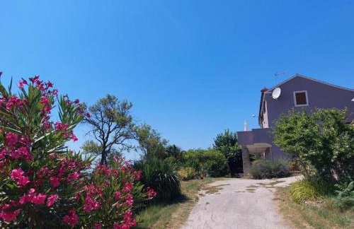 Apartment Dunja with Panoramic View - Foto 9