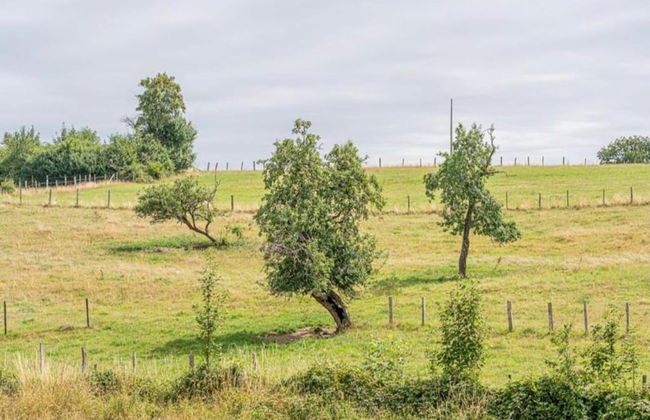 Bievre Forest-edge Retreat - Foto 35