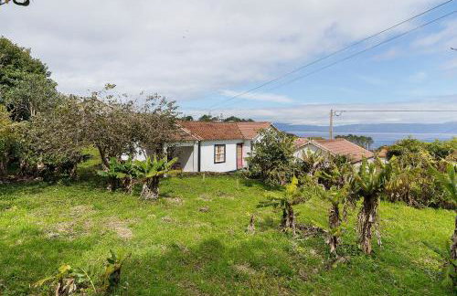 Adega Peróla - Foto 1