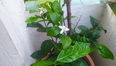 Etxalo, apartamento con terraza en Gorliz - Foto 5