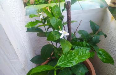 Etxalo, apartamento con terraza en Gorliz - Foto 5