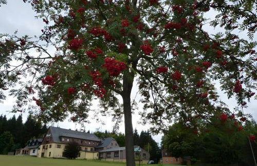 Gemütliche Ferienwohnung in Holzhau - Foto 22