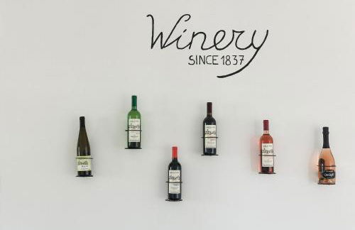 Agriturismo I sentieri del Vino - Lago Lucone - Foto 41