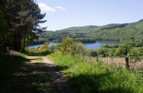 Gîte du Gua des Brasses au bord du lac de la Raviège - Foto 48