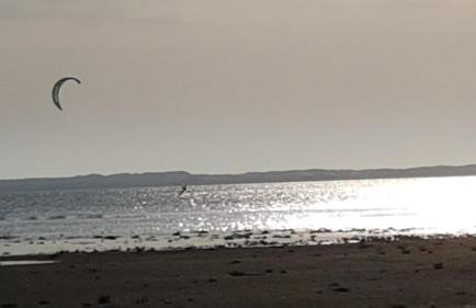 Gîte 2 à 4 pers Les Pommes de Pin Les Mathes La Palmyre proche zoo et plages - Photo 26