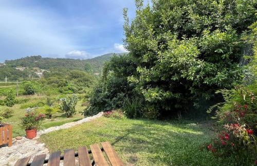 Mar Dentro - Foto 12