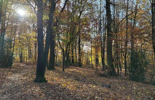 WohlfühlQuartier Hückeswagen - Foto 16