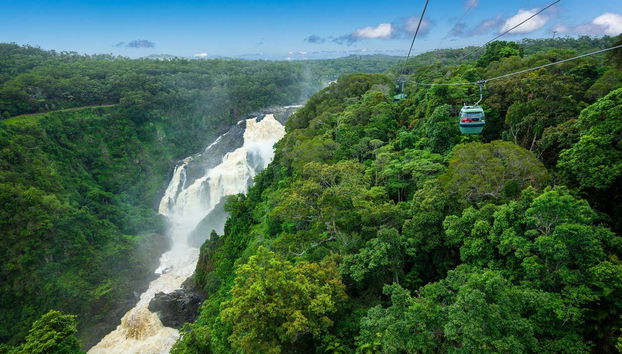 Excursão a Cattana e às cataratas de Barron + Skyrail Rainforest - Foto 2, Atravessaremos a floresta tropical de teleférico