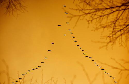 Domki pod jabłonką - Foto 7