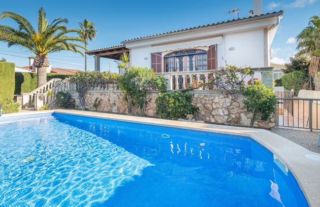 Dofins Bahia Azul - Foto 19