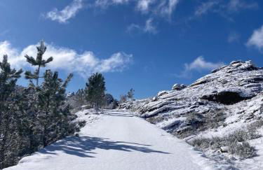 Melro-d' água - Foto 42